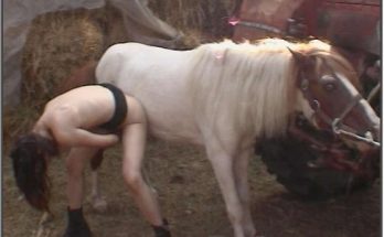 Фото ебля с пони зоо порнушки с конем