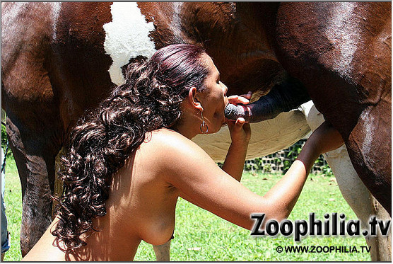Черномазая шлюха отсасывает мерину на лоне природы фотографии зоо ебля hd