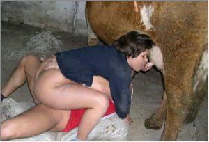 Толстая зоофилка отсасывает корове сисечки и сношается с возлюбленным зоофилия фото порнушки