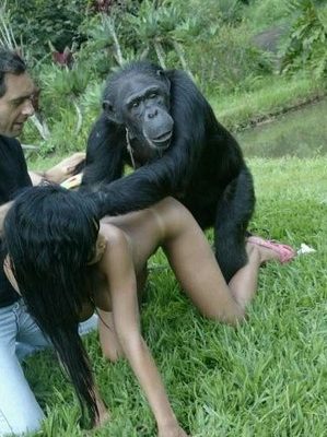 Две голые развратницы увлеченно трахаются с черной обезьяной смотрите зоопорно фото