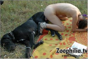 Лучшие картинки с порнухой zoofilia porn с собакой на полянке