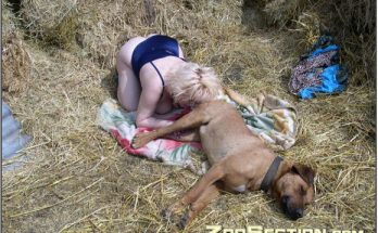 Порочная извращенка делает минет собачке на траве зоопорно ххх фотографии