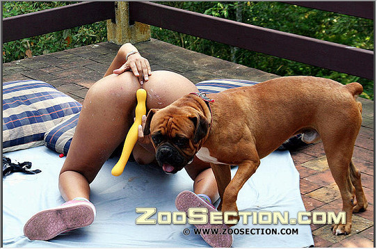 Натуральные зоо порно фото с юрким шариком