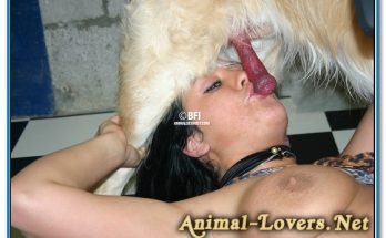 Реальный animal sex фото зоо порно девки посасывают собаке