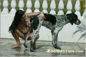 Шлюшка делает минет на фото порно зоо любимой псине