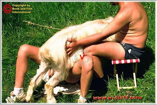Фотографии порнозоо с рогатым козлом на травке