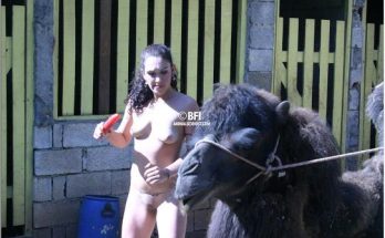 Porn photo зоопорно мокрая зоофилка растирает пизду о горбик большого верблюда