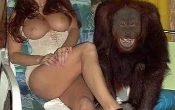 Врослая мадам с шикарными стоячими сиськами эротично позирует с обезьяной